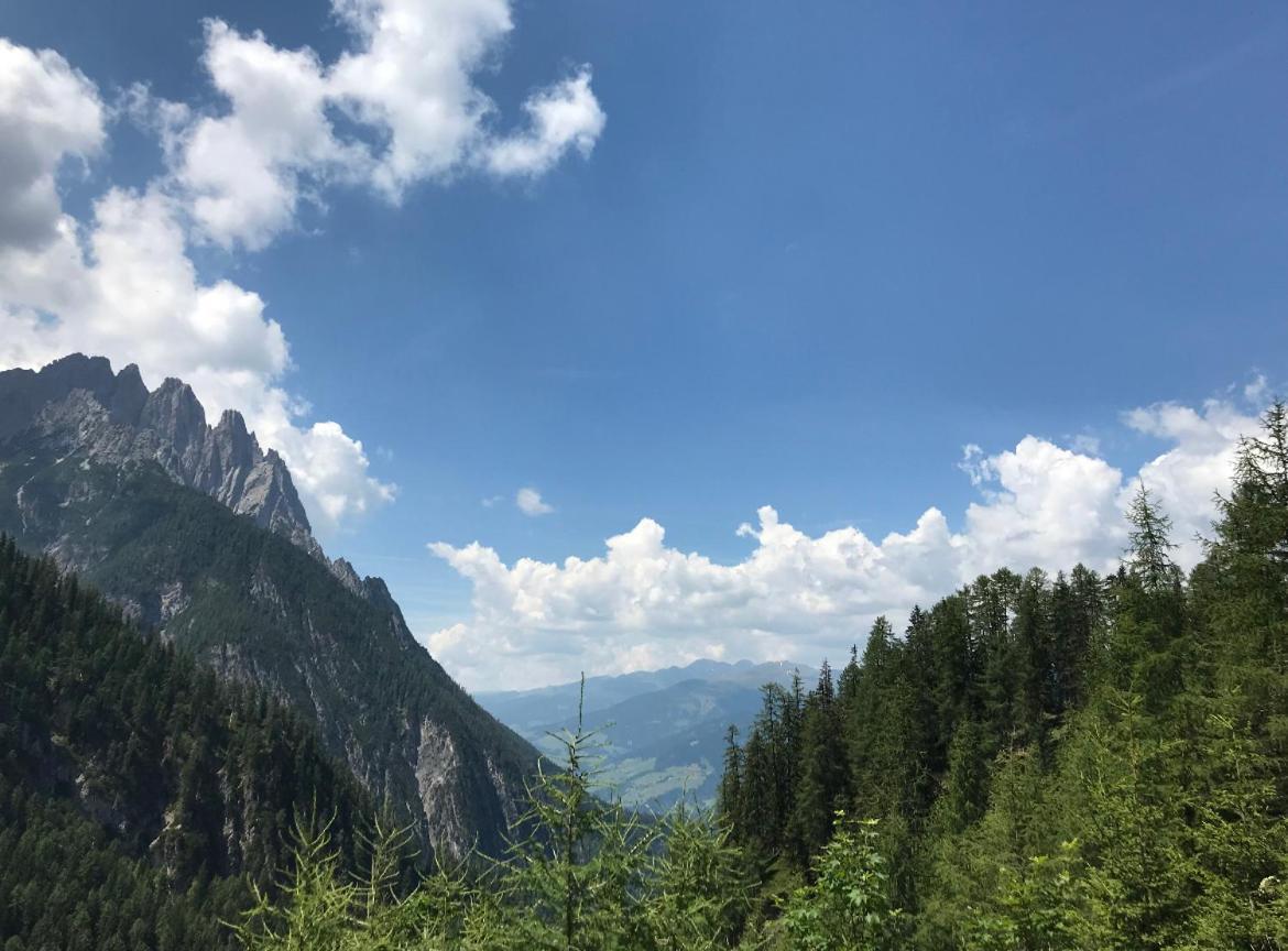 The Dolomiti View Apartment Debant Exterior photo